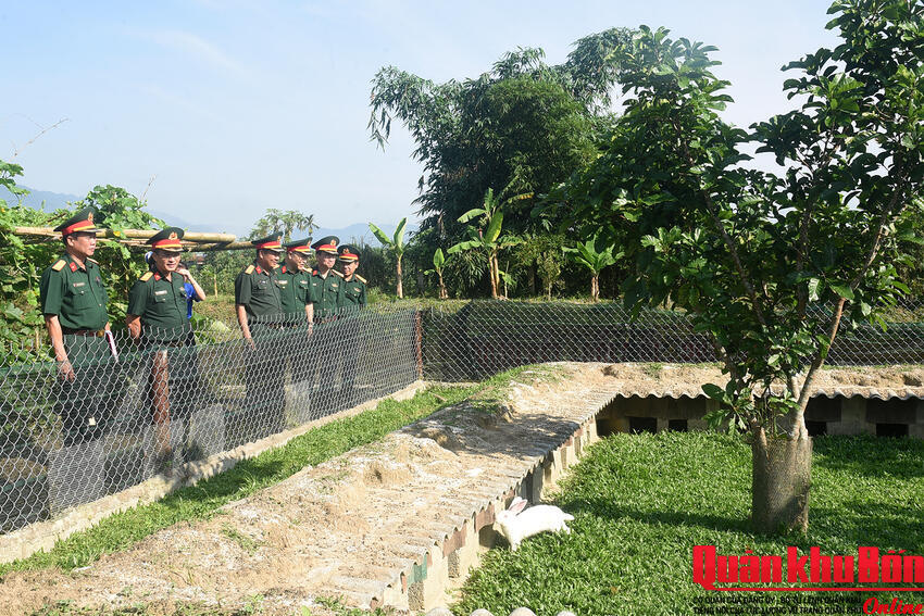 Đoàn Kinh tế - Quốc phòng 92 (Quân khu 4): Vững hậu cần, chắc kỹ thuật