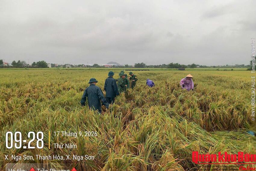 Lực lượng vũ trang tỉnh Thanh Hóa giúp dân ứng phó thiên tai