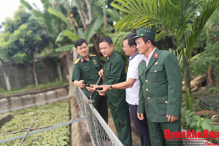 Cựu chiến binh làm giàu từ nghề nuôi ốc