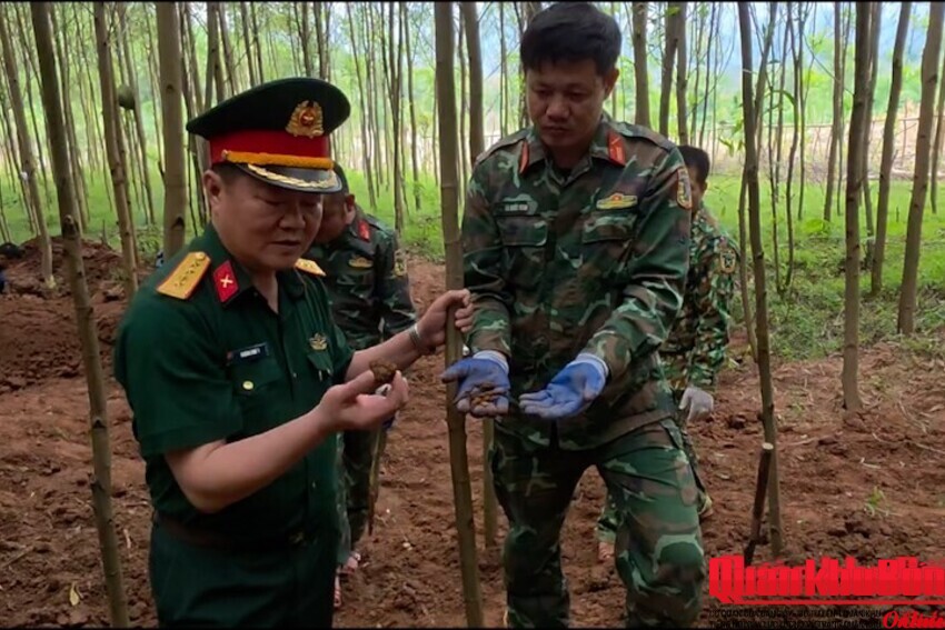 Quảng Trị: Quy tập 12 hài cốt liệt sĩ