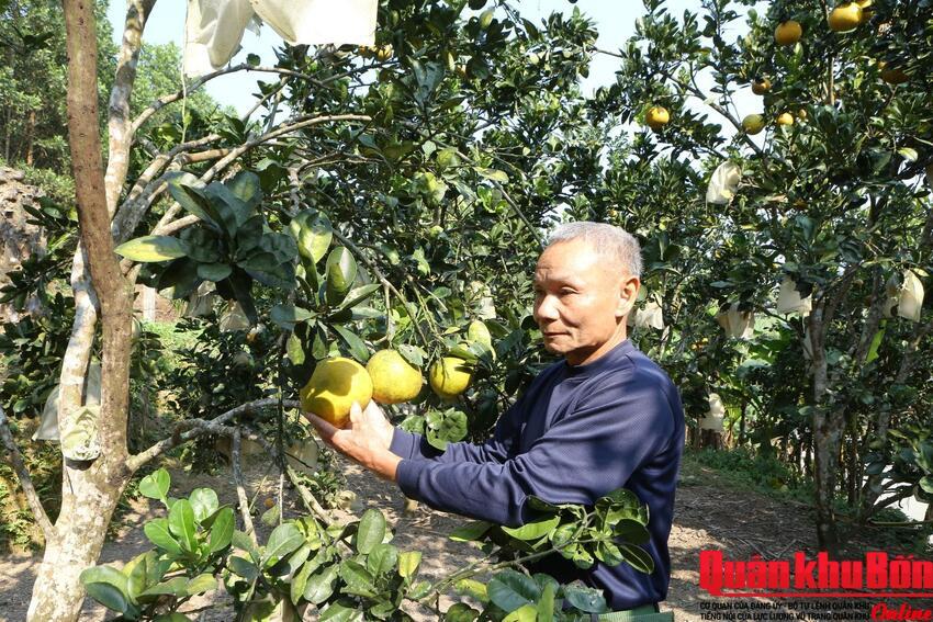 Cựu chiến binh Lê Hữu Giám làm kinh tế giỏi ở vùng cao Thượng Ninh