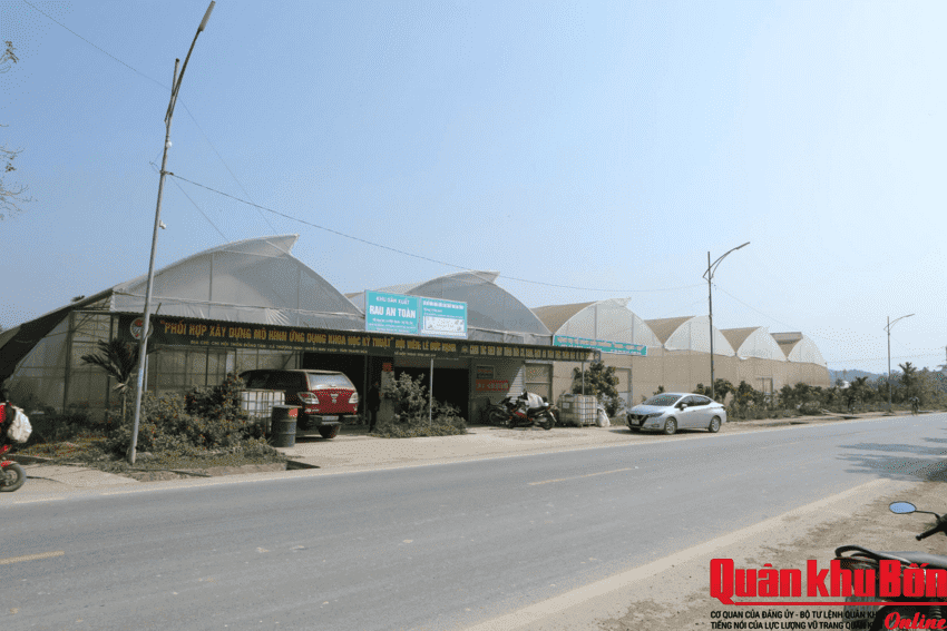 Cựu chiến binh đưa công nghệ lên đồi