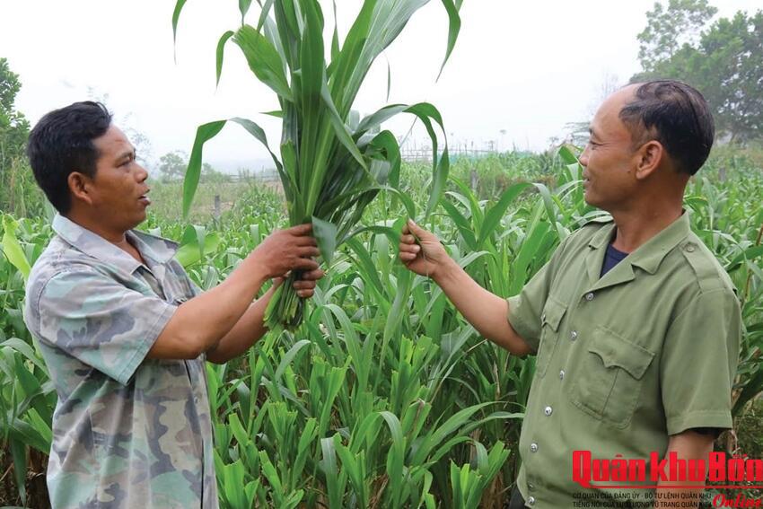 Đảng viên không lương cần chủ trương phù hợp