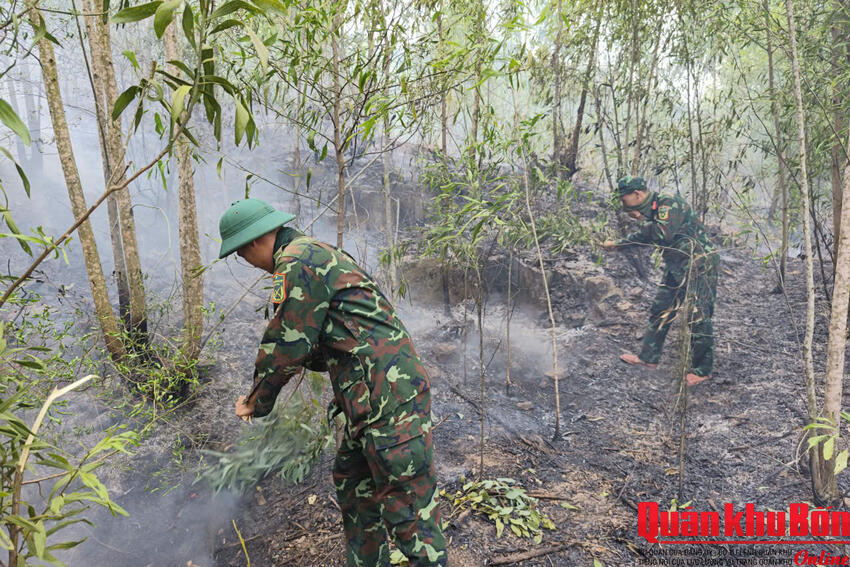 Sư đoàn 341 (Quân khu 4) tham gia chữa cháy rừng tại núi Năng
