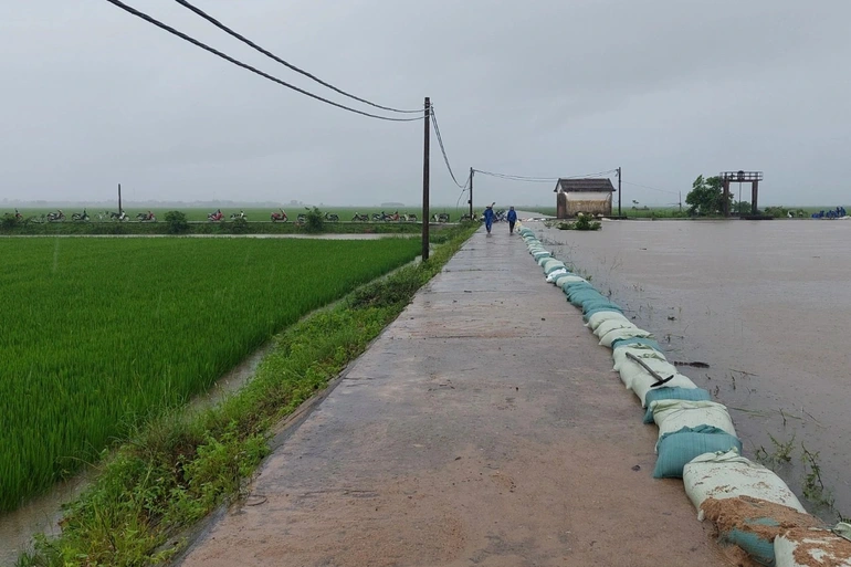 Nước lũ dâng cao, người dân trở tay không kịp, đội mưa đắp đê cứu lúa - 3