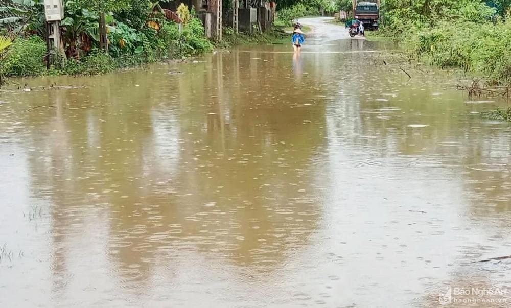 Nghệ An: Nhiều địa phương bị chia cắt, Quỳ Hợp sơ tán dân vì mưa lũ ảnh 2