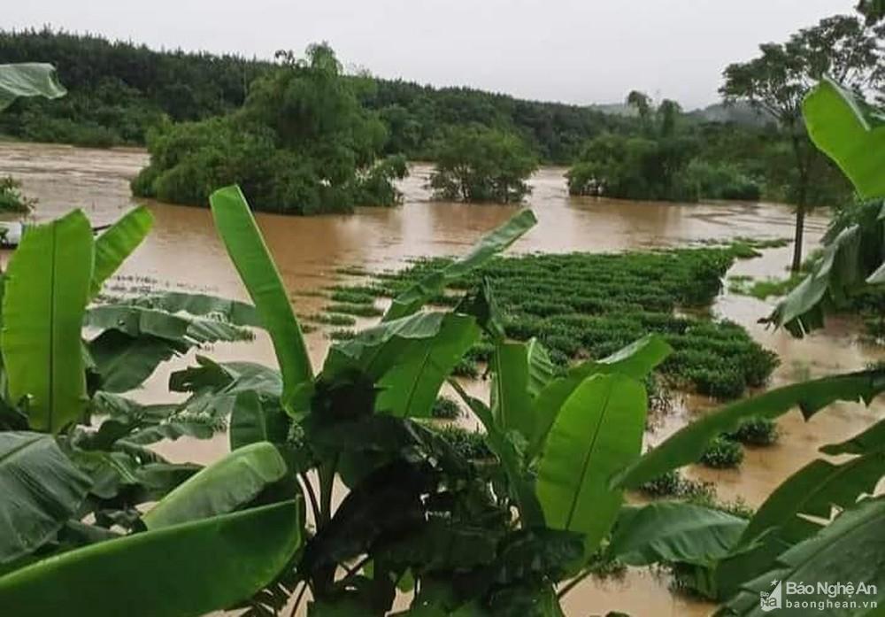 Nghệ An: Nhiều địa phương bị chia cắt, Quỳ Hợp sơ tán dân vì mưa lũ ảnh 4