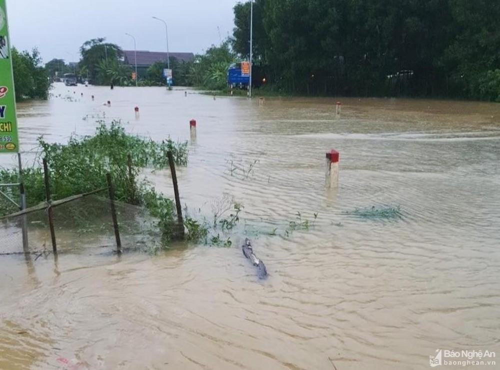 Nghệ An phải đóng nhiều tuyến đường do mưa lụt ảnh 8