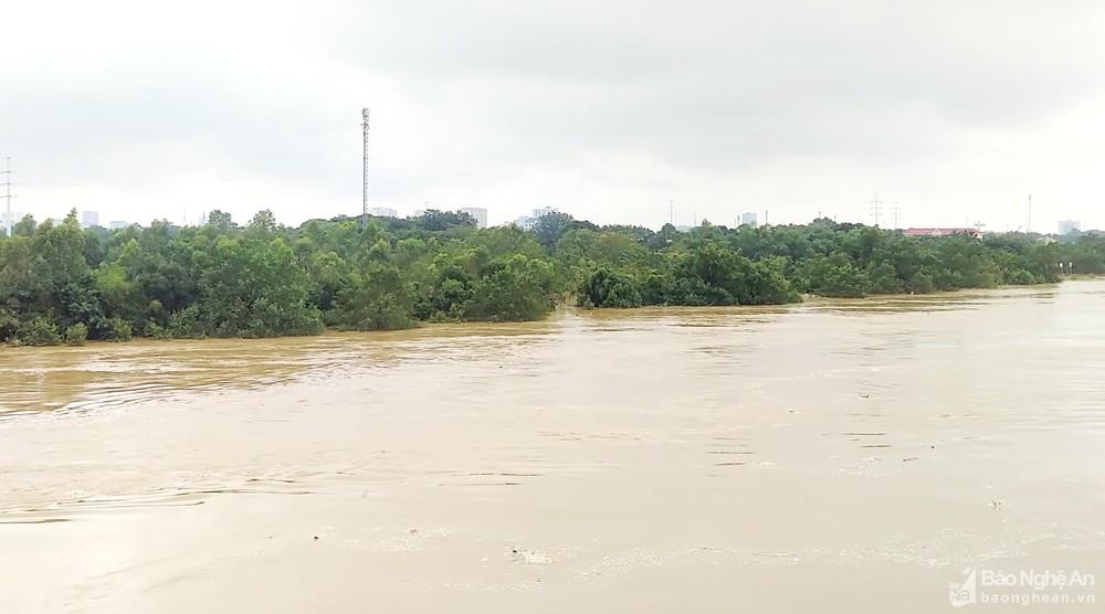 Nhiều hộ dân ở phường Bến Thủy bị ngập do nước sông Lam dâng cao ảnh 1