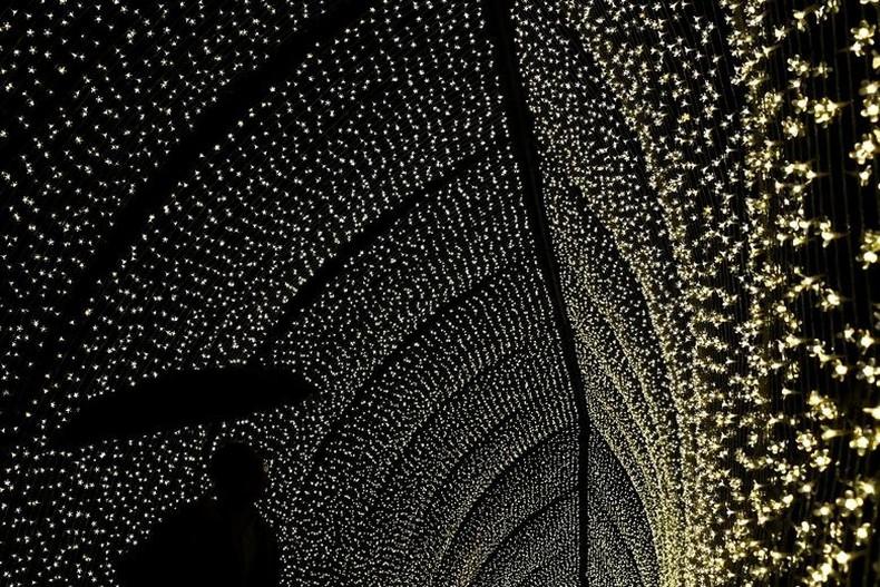 Dưới ánh đèn lung linh tại Kew Gardens, London, Anh. (Ảnh: Reuters)