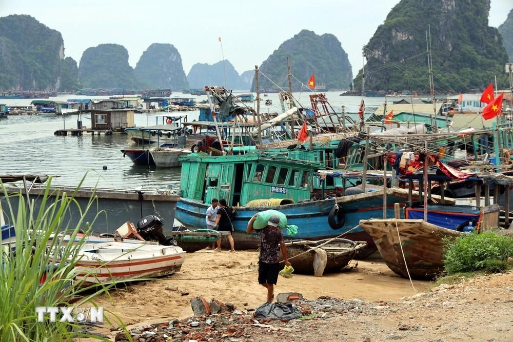 Các tàu neo đậu an toàn tại khu tránh trú bão cảng Vân Đồn. (Ảnh: Đức Hiếu/TTXVN)