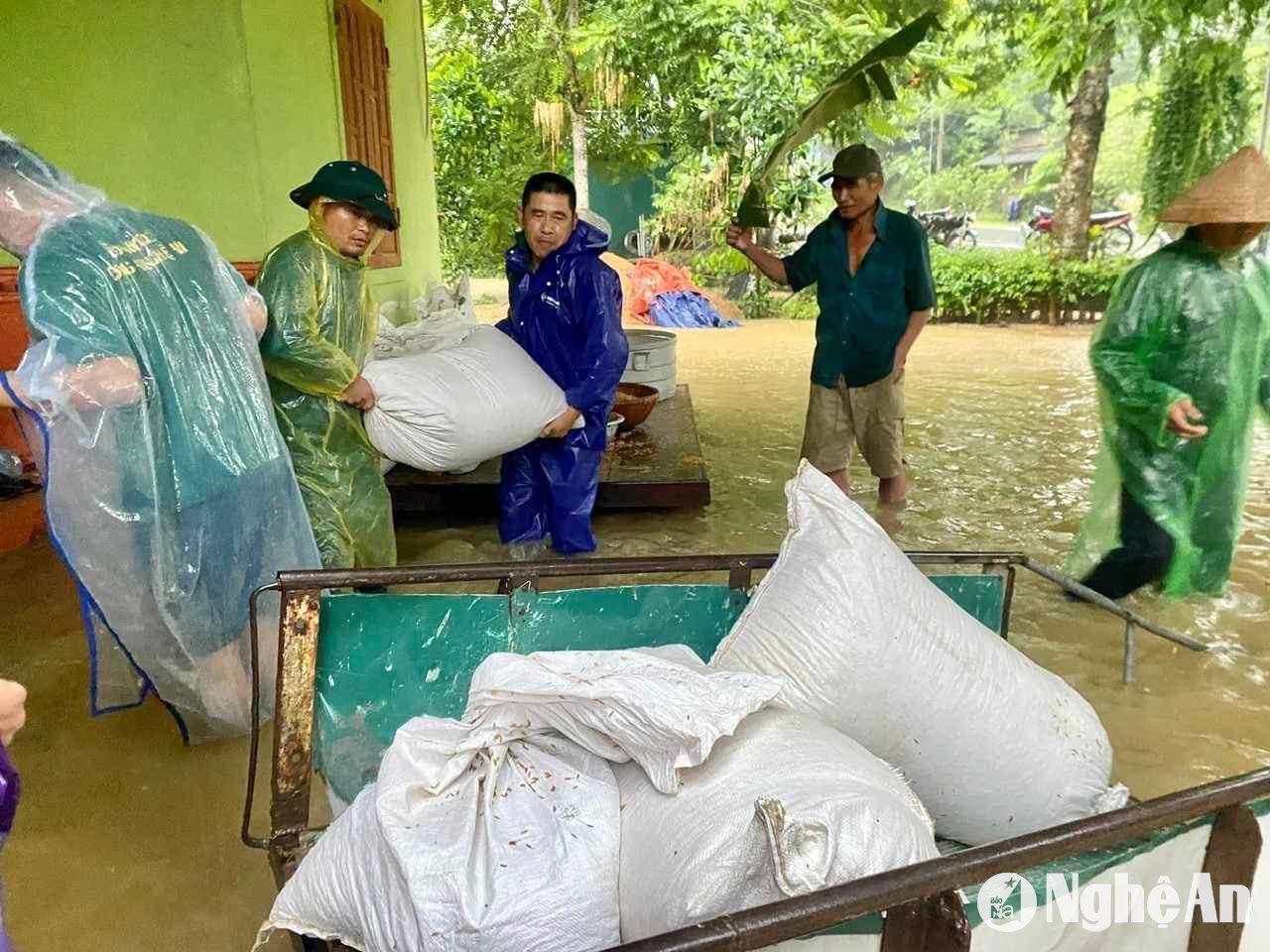 nhân dan xã Yên Khê di dời thóc lúa vừa mưới thu hoạch xong