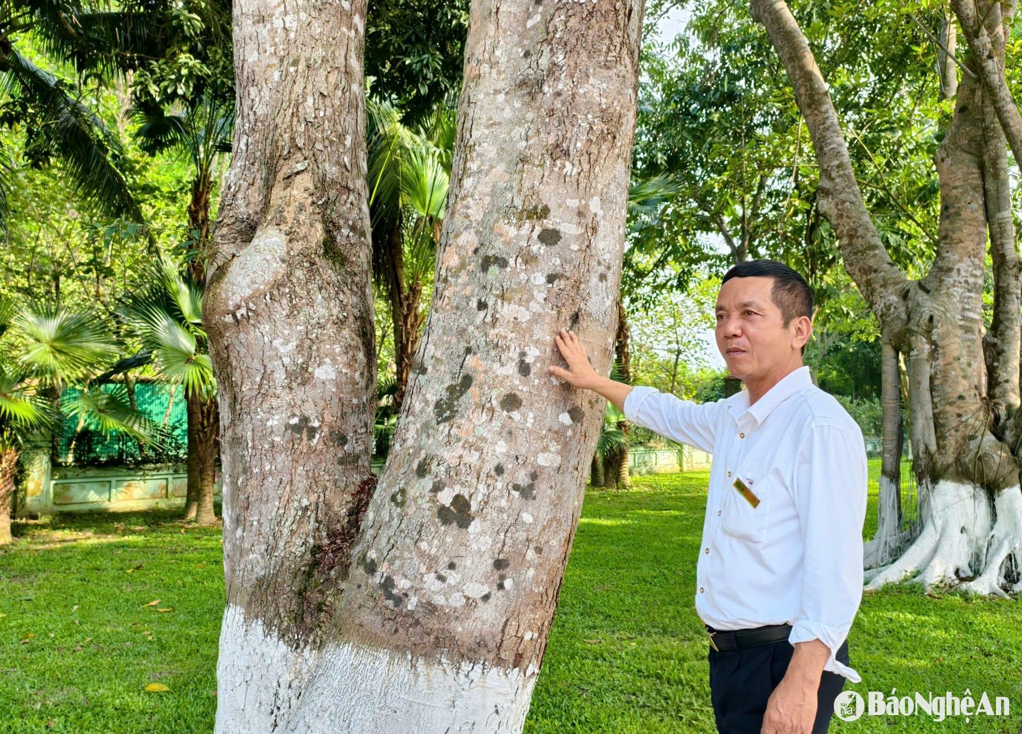 khu di tích Kim Liên Ảnh Diệp Thanh00006
