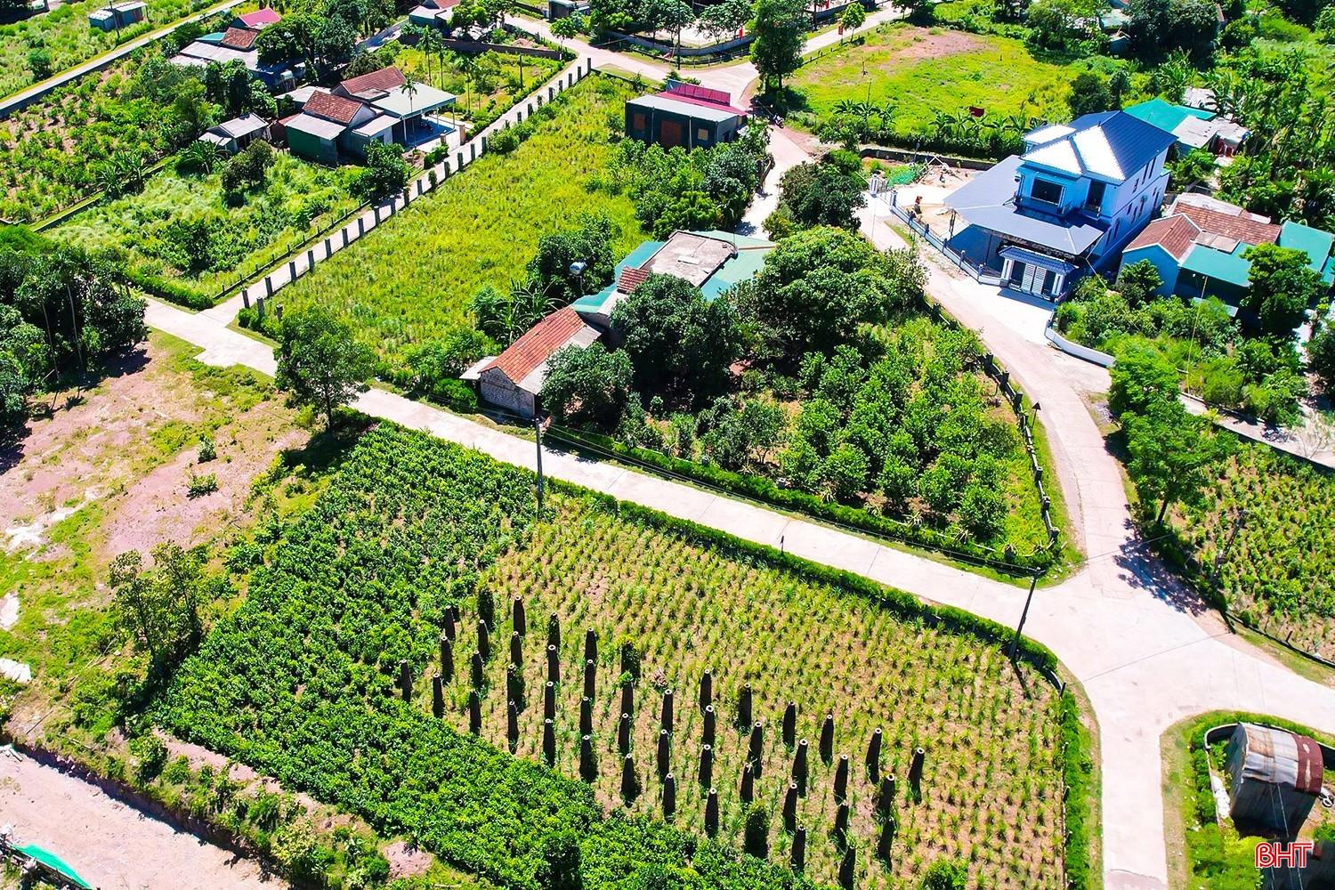 Một góc xã Cẩm Hưng hôm nay. Ảnh Hương Thành.