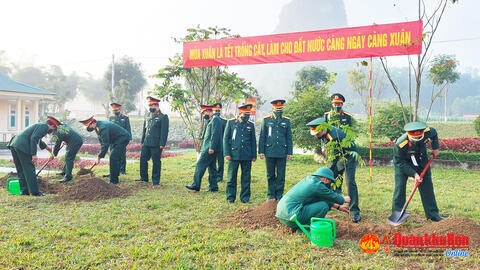 Trung đoàn 335 tổ chức trồng cây đầu Xuân Nhâm Dần 2022