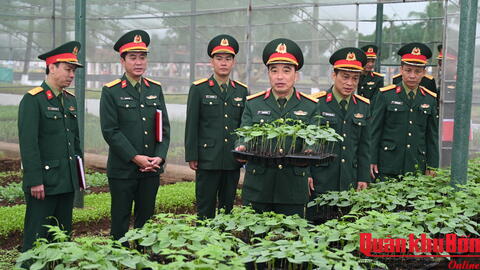 Triển khai nhiều mô hình hiệu quả từ hội thi “Đơn vị tăng gia sản xuất giỏi” năm 2025.