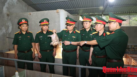 Quân khu 4: Kiểm tra công tác Hậu cần - Kỹ thuật và an toàn vệ sinh lao động