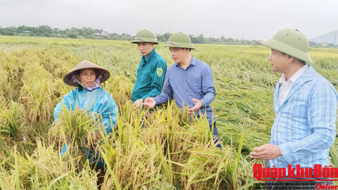 Xã Tứ Mỹ, tỉnh Hà Tĩnh khắc phục hậu quả mưa đá