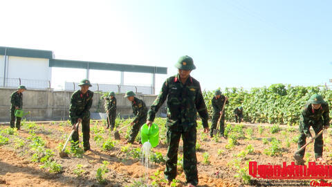 Phóng sự truyền hình: TRUNG ĐOÀN 266 (SƯ ĐOÀN 341): CHỦ ĐỘNG TĂNG GIA SẢN XUẤT, BẢO ĐẢM TỐT ĐỜI SỐNG BỘ ĐỘI TRONG MÙA NẮNG NÓNG