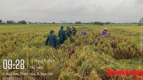 Lực lượng vũ trang tỉnh Thanh Hóa giúp dân ứng phó thiên tai
