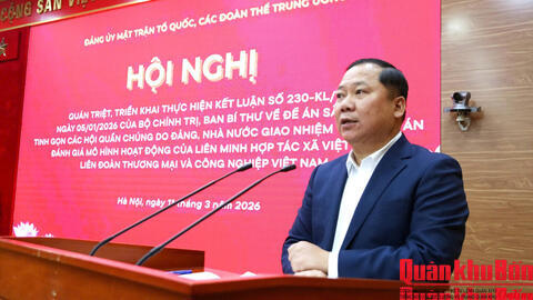 Triển khai kết luận của Bộ Chính trị, Ban Bí thư về sắp xếp hội quần chúng