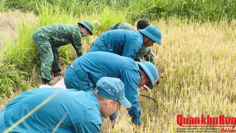 Tình quân dân trên đồng quê Kim Ngân