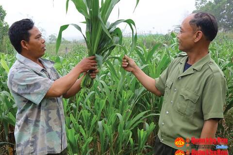 Đảng viên không lương cần chủ trương phù hợp