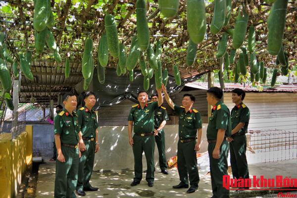 Đoàn Kinh tế - Quốc phòng 337 (Quân khu 4): Vượt khó, bảo đảm tốt công tác hậu cần