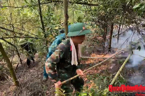 Ban CHQS xã Bích Hào, Bộ CHQS tỉnh Nghệ An khống chế thành công đám cháy rừng