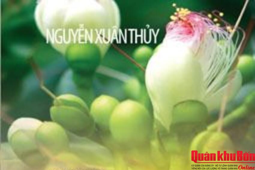 Giới thiệu sách: Biển xanh màu lá