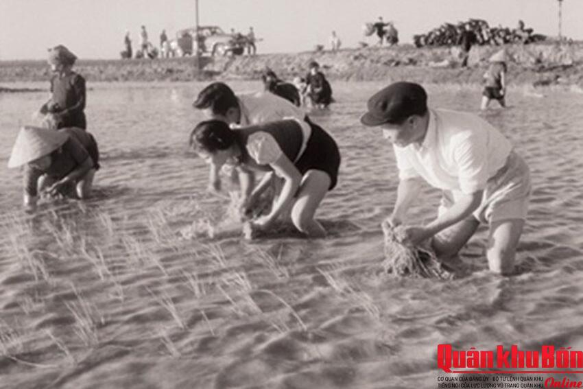 Đại tướng Nguyễn Chí Thanh trên mặt trận nông nghiệp