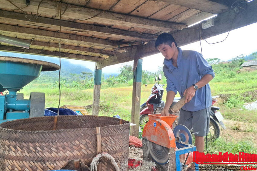 Chàng trai dân tộc Thái ở bản Pục làm giàu từ giống gà bản địa