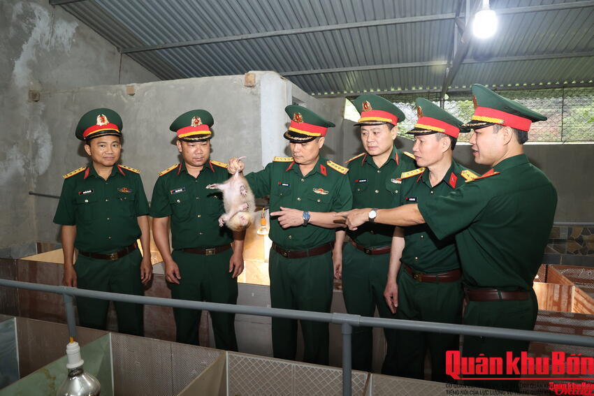 Quân khu 4: Kiểm tra công tác Hậu cần - Kỹ thuật và an toàn vệ sinh lao động