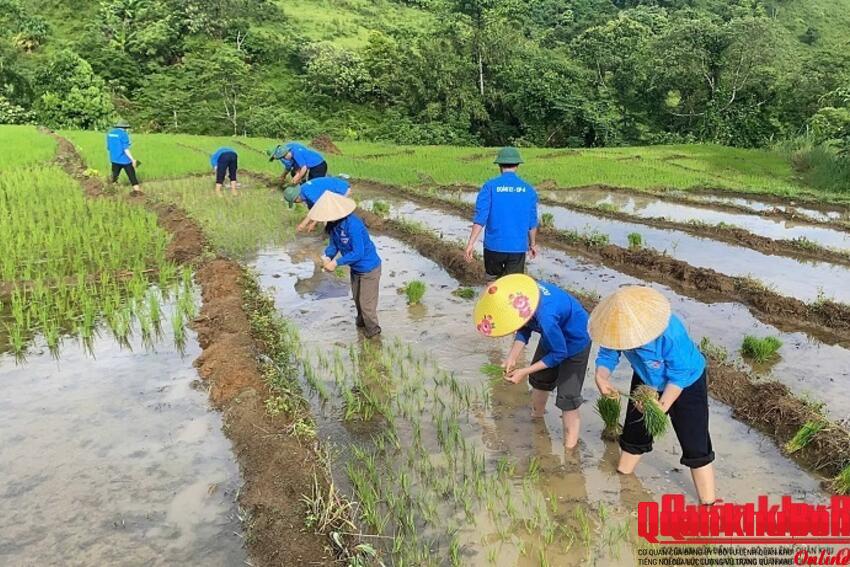 Trí thức trẻ tình nguyện Đoàn Kinh tế - Quốc phòng 4 (Quân khu 4): Chung sức xây biên cương xứ Nghệ