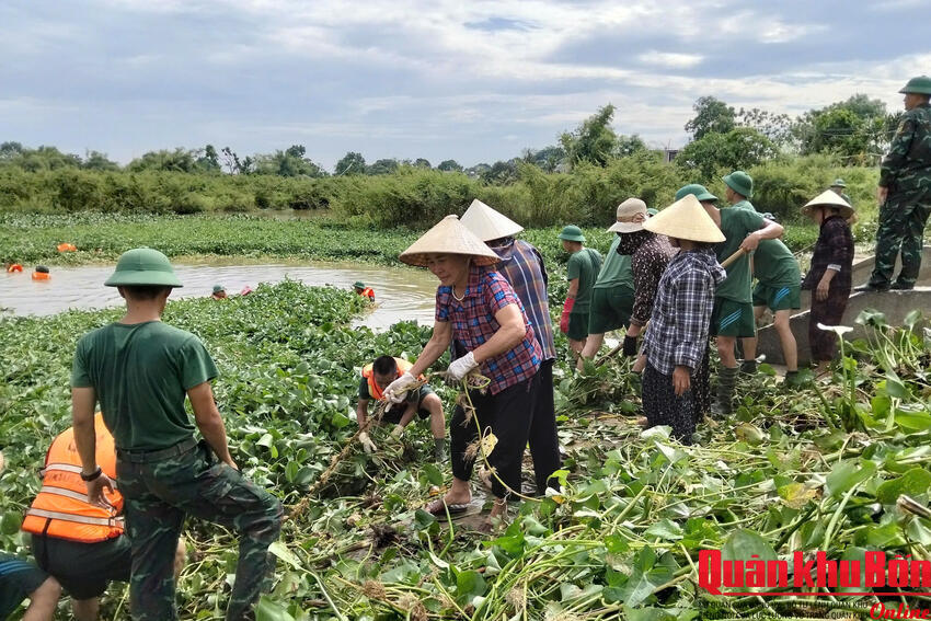 Bộ đội về làng, Sao Vàng đường sáng, bản quang