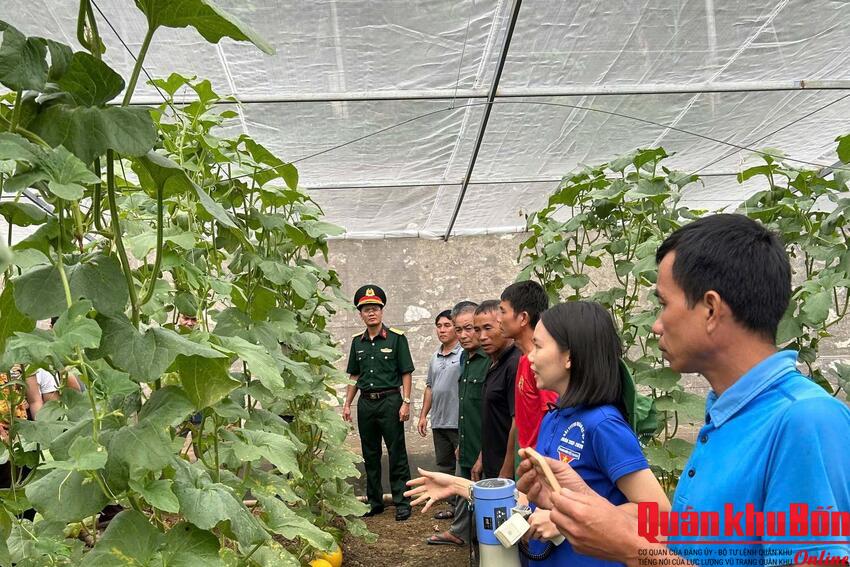 Đoàn Kinh tế - Quốc phòng 5 (Quân khu 4) hướng dẫn khoa học kỹ thuật chăn nuôi cho Nhân dân