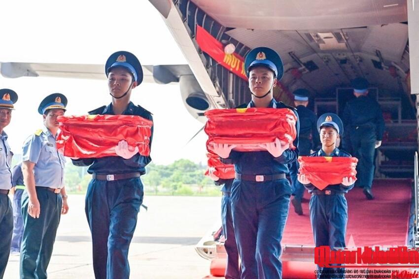 13.563 mẫu hài cốt liệt sĩ phục vụ giám định ADN về tới Sân bay Gia Lâm (Hà Nội)