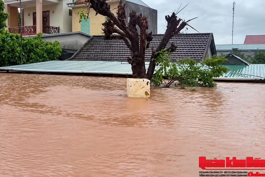 Quảng Trị, mưa lớn, hàng trăm nhà dân chìm trong 'biển nước'