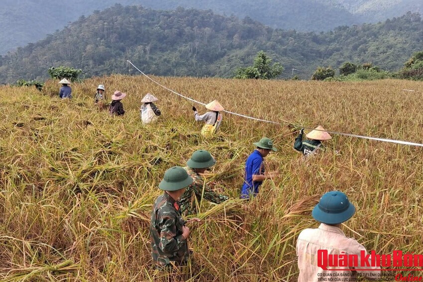 Đoàn Kinh tế - Quốc phòng 5 (Quân khu 4) hỗ trợ Nhân dân phát triển kinh tế