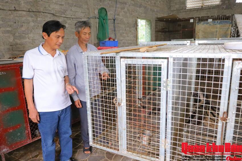 Cựu chiến binh tiên phong làm giàu