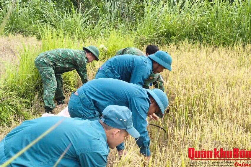 Tình quân dân trên đồng quê Kim Ngân